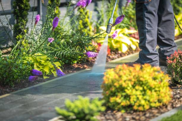 Best Winterizing Services  in Millport, AL