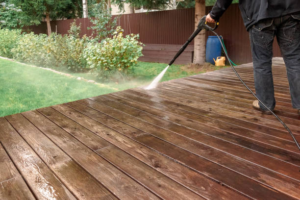 Best Soft Washing  in Millport, AL